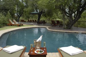 Sabi Sabi Bush Lodge (66)