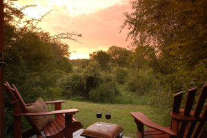 Sabi Sabi Bush Lodge (67)