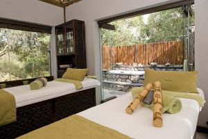 Sabi Sabi Bush Lodge (72)