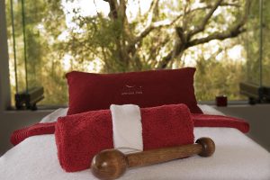 Sabi Sabi Bush Lodge (74)