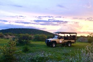 Botswana Central Kalahari Game Reserve Great Tsau Hill (5)