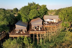Botswana Okavango Delta Treehouse Setari (16)