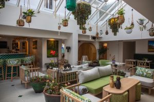 Franchhoek Le Petit Manoir (40)