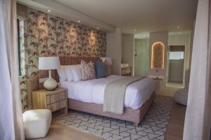 Franchhoek Le Petit Manoir (8)