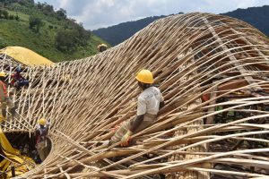 uganda bwindi impenetrable forest erebero hills 13