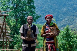 uganda bwindi impenetrable forest erebero hills 15