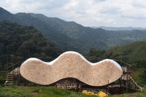 uganda bwindi impenetrable forest erebero hills 5