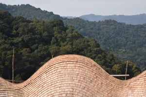 uganda bwindi impenetrable forest erebero hills 6
