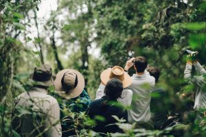 uganda bwindi impenetrable forest erebero hills 7
