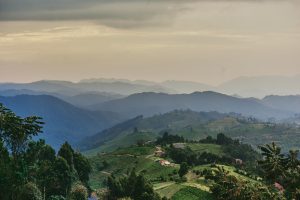 uganda bwindi impenetrable forest erebero hills 8