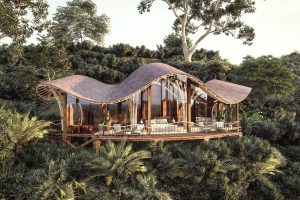 uganda bwindi impenetrable forest erebero hills 9