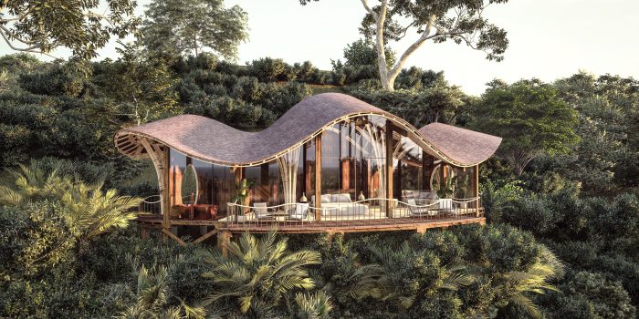 uganda bwindi impenetrable forest erebero hills 9