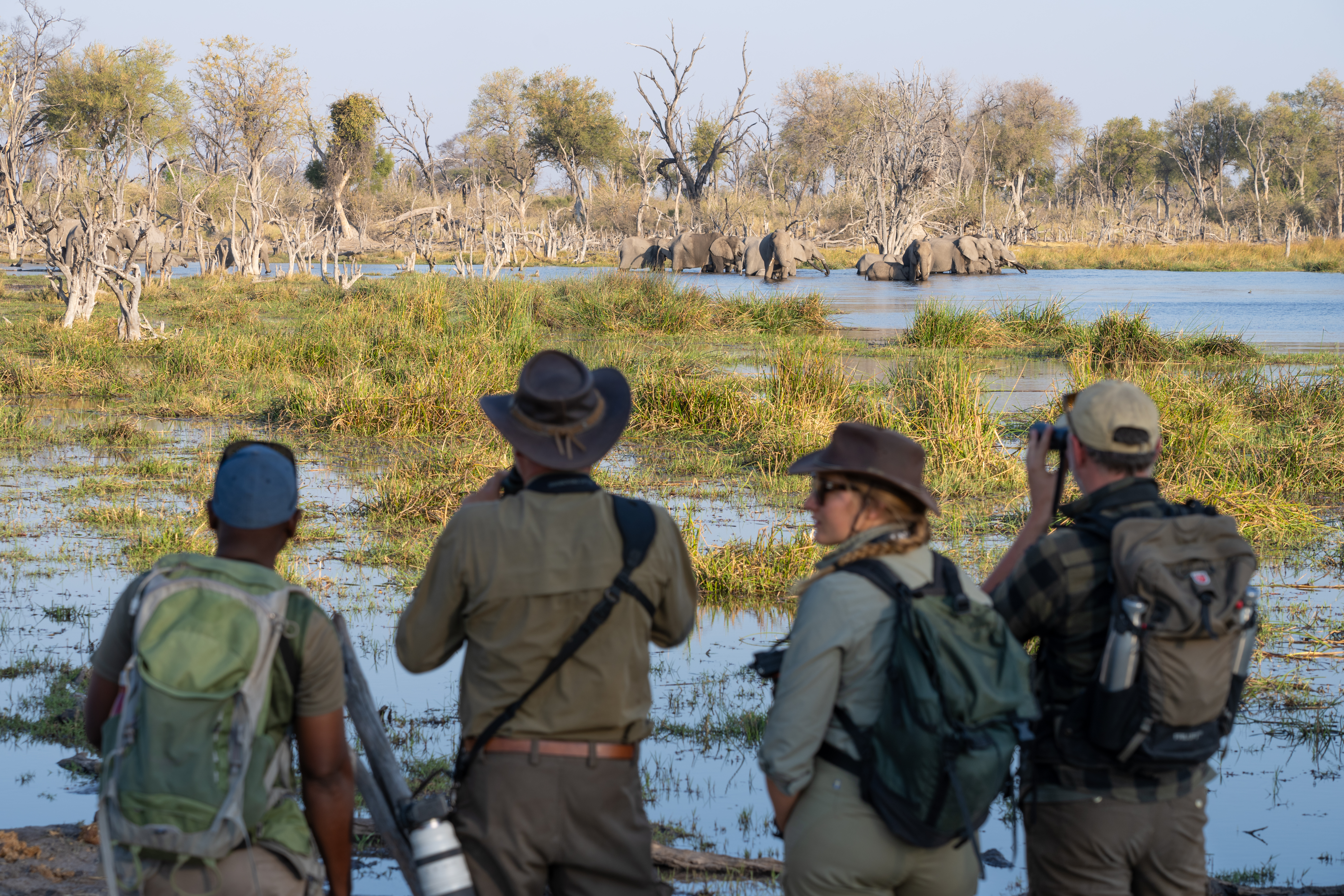 botswana okavango delta frank steenhuisen wild expeditions safaris okwa 2