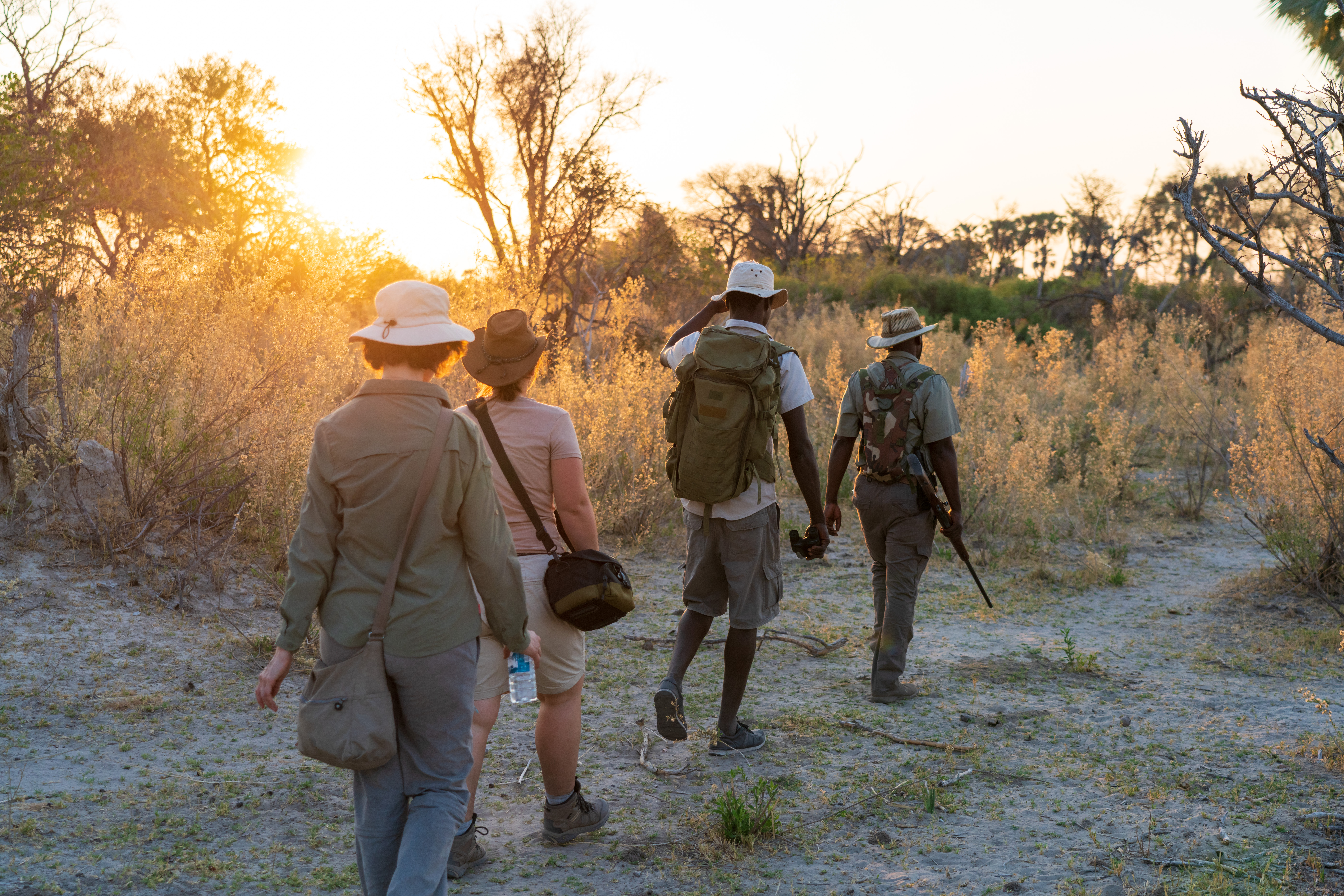 walking safari botswana wild expedition safaris