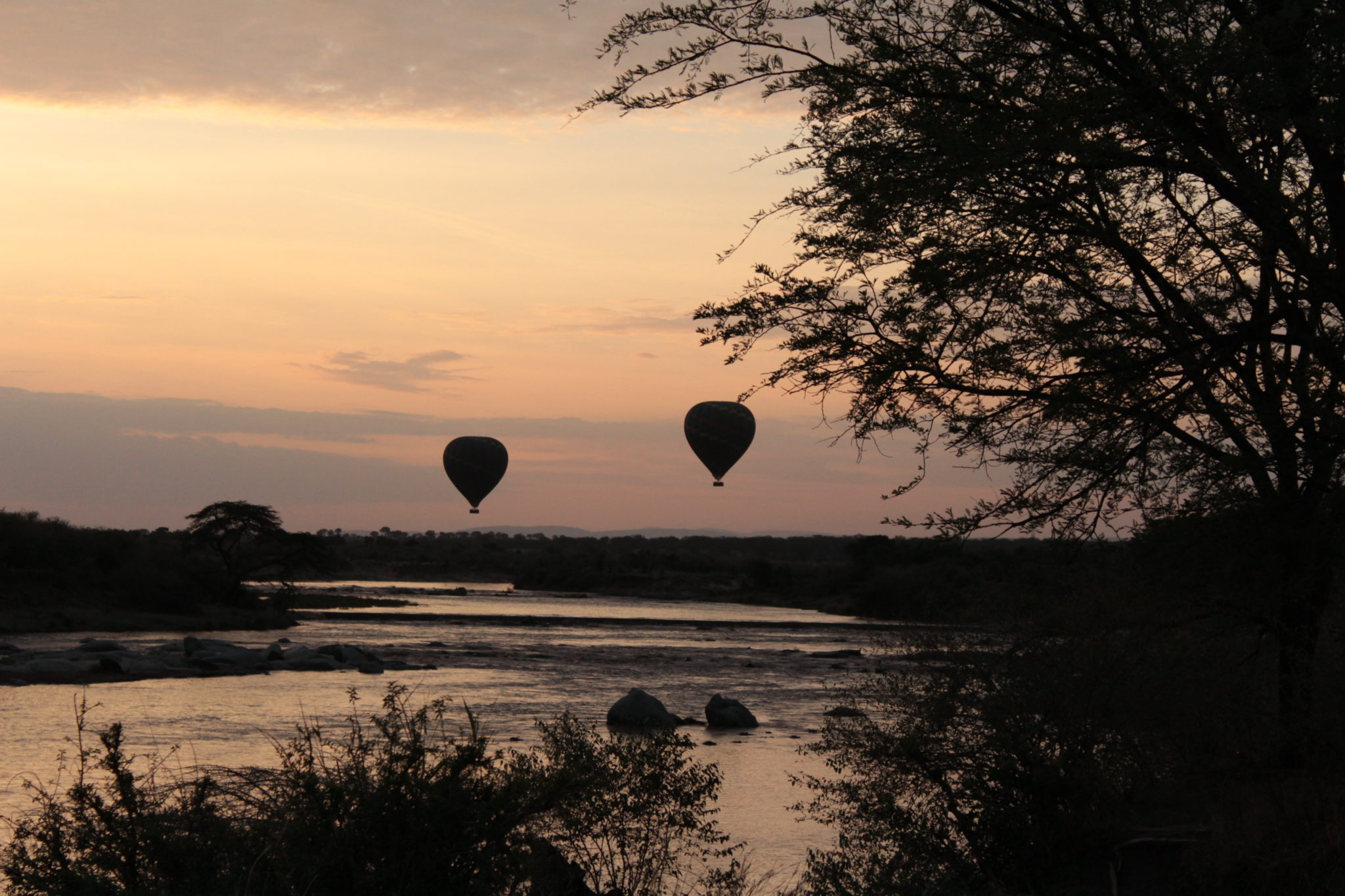tanzania serengeti great migration camps safaris 31 tanzania serengeti great migration camps safaris 31