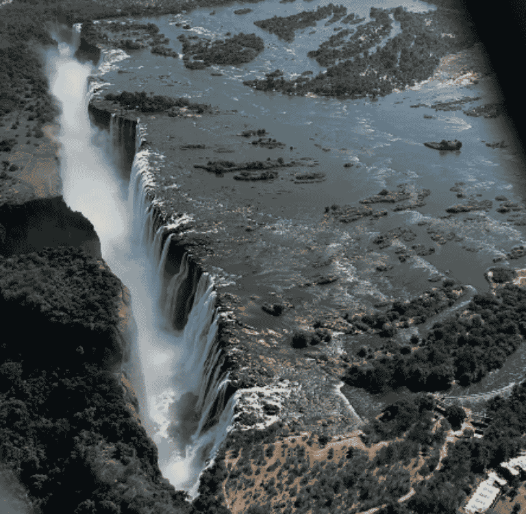 Newsletter GIF (15)